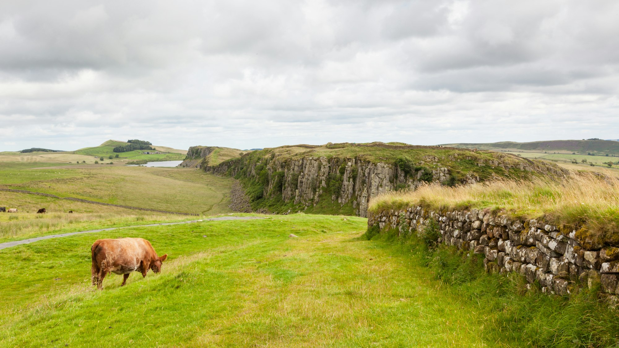 Northumberland Landscape